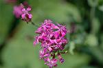 Dcim6186/DSC_6997