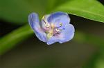 Dcim6187/DSC_7120