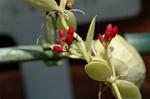 Dcim6187/DSC_7123