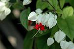 Dcim6187/DSC_7140