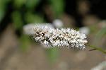Dcim6187/DSC_7158