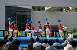 Dcim6193/DSC_7371