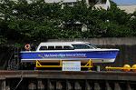Dcim6193/DSC_7396