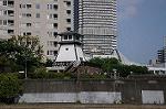 Dcim6193/DSC_7436