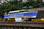 Dcim6195/DSC_7691