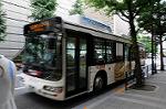 Dcim6195/DSC_7745