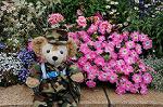 Dcim6198/DSC_7781