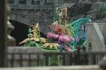 Dcim6202/DSC_7525