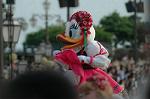 Dcim6203/DSC_7635