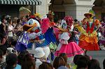 Dcim6204/DSC_7685