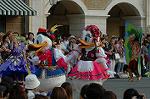 Dcim6204/DSC_7706