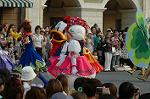 Dcim6204/DSC_7713