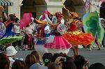 Dcim6204/DSC_7716