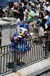 Dcim6206/DSC_7931