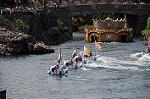 Dcim6212/DSC_8784