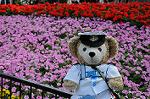Dcim6215/DSC_9140
