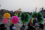 Dcim6216/DSC_9355