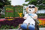 Dcim6217/DSC_9408
