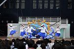 Dcim6217/DSC_9411