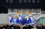Dcim6217/DSC_9412