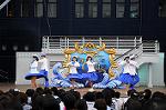 Dcim6217/DSC_9413