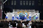 Dcim6217/DSC_9418