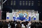 Dcim6217/DSC_9419