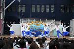 Dcim6217/DSC_9424