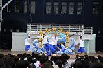 Dcim6217/DSC_9431