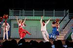 Dcim6217/DSC_9462