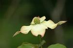 Dcim6222/DSC_7946