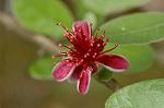 Dcim6222/DSC_7960