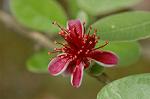Dcim6222/DSC_7961