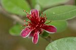 Dcim6222/DSC_7962