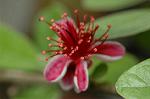 Dcim6222/DSC_7971