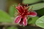 Dcim6222/DSC_7972