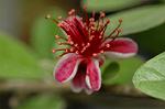 Dcim6222/DSC_7973