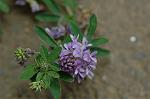 Dcim6222/DSC_8009