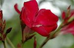 Dcim6222/DSC_8028