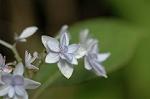 Dcim6223/DSC_8057