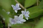 Dcim6223/DSC_8058