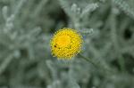 Dcim6223/DSC_8105