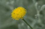 Dcim6223/DSC_8110