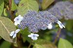 Dcim6224/DSC_8154