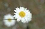 Dcim6224/DSC_8225