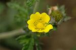 Dcim6224/DSC_8241