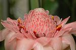 Dcim6225/DSC_8305