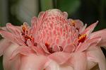 Dcim6225/DSC_8306