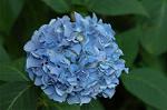 Dcim6228/DSC_8574