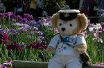 Dcim6229/DSC_8744